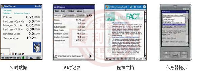 美国格雷沃夫DirectSense TOX有毒有害气体检测仪