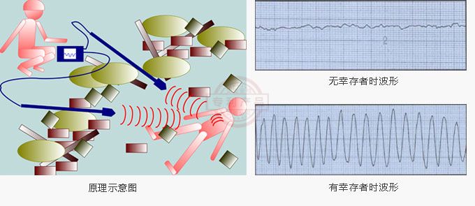 日本进口Life Detector雷达生命探测仪