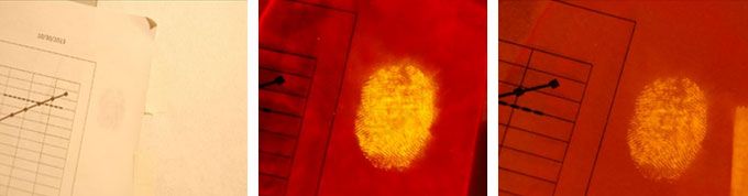 美国进口Laser Light生物检材发现仪