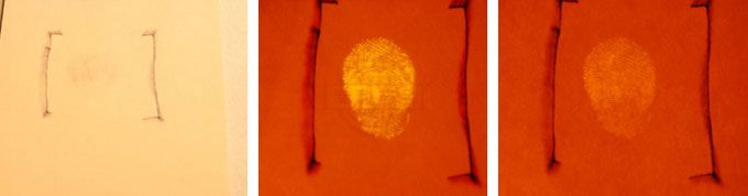 美国进口Laser Light生物检材发现仪