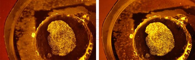 美国进口Laser Light生物检材发现仪