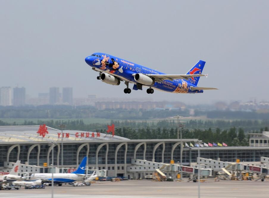 宁夏安检加强，为什么IWILDT将把银川安检机市场作为聚集地？