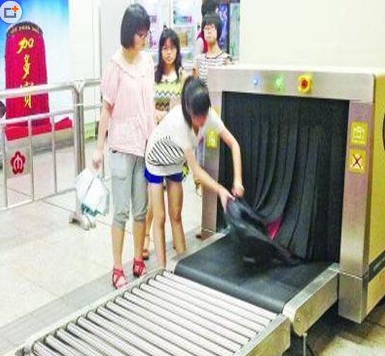 传送带.jpg
